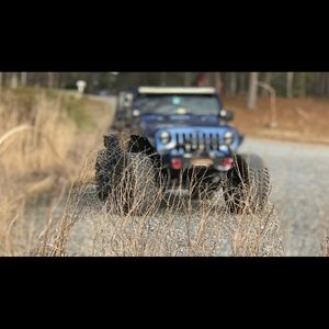 Meet your Posher, Justin